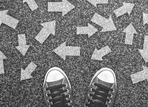 Dilated Pupil 2019 dilated pupil