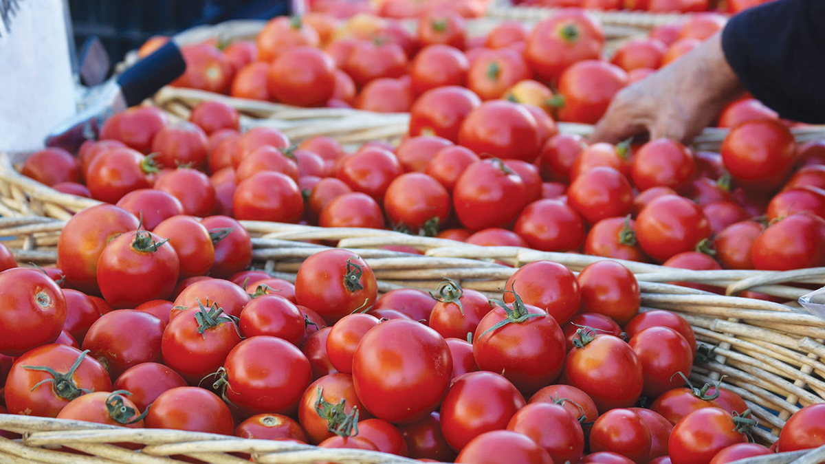 fall Farmers market