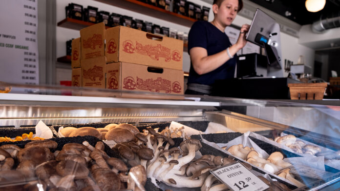 Far West Fungi Plants Santa Cruz Roots