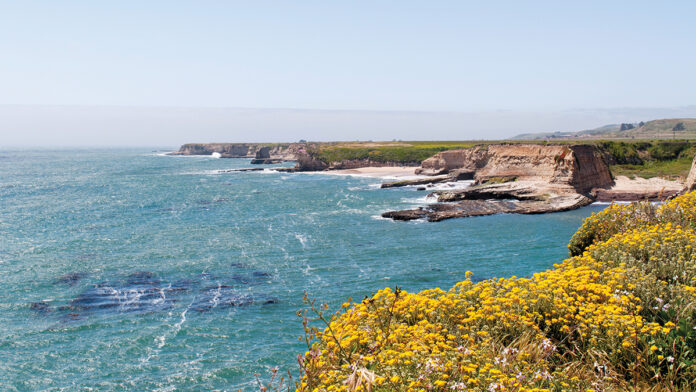 5 Things To Do In Santa Cruz: October 23-29 groundwater