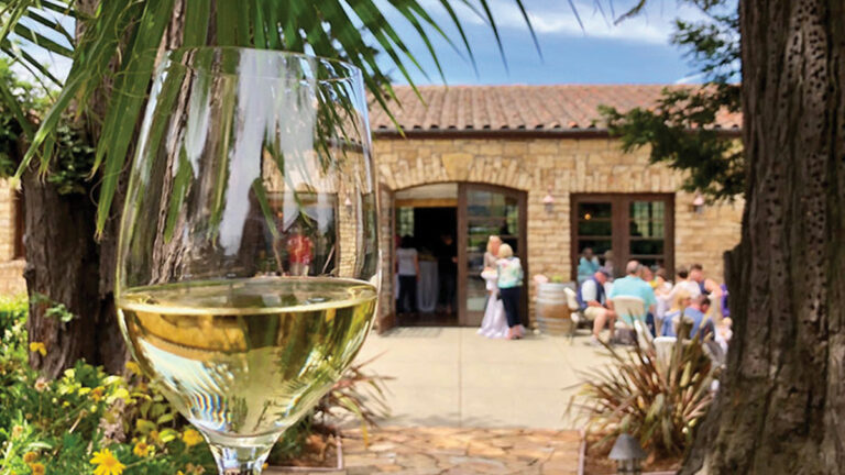 Black Ridge Vineyards’ Mountain Hideaway