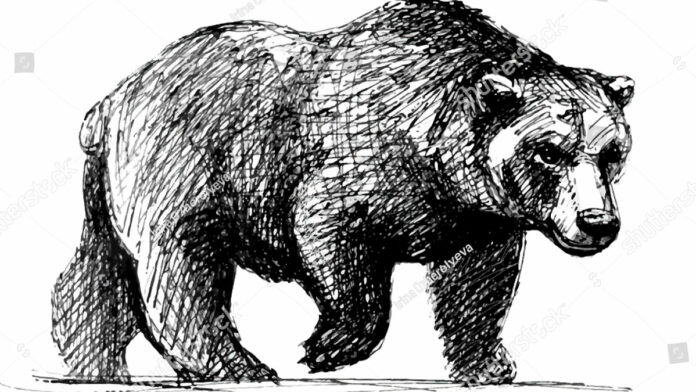 Opinion: December 4, 2019