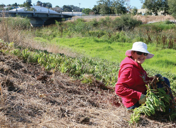 An $8.5 Million Bid to Revive the Santa Cruz Riverwalk Santa Cruz Riverwalk