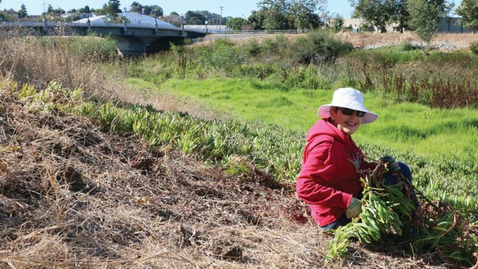 An $8.5 Million Bid to Revive the Santa Cruz Riverwalk Santa Cruz Riverwalk
