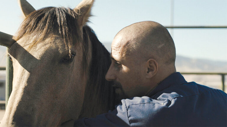 Forget the Oscar Nominations; Watch These