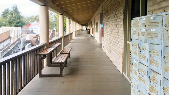 March 3 Voter Guide: Local Measures