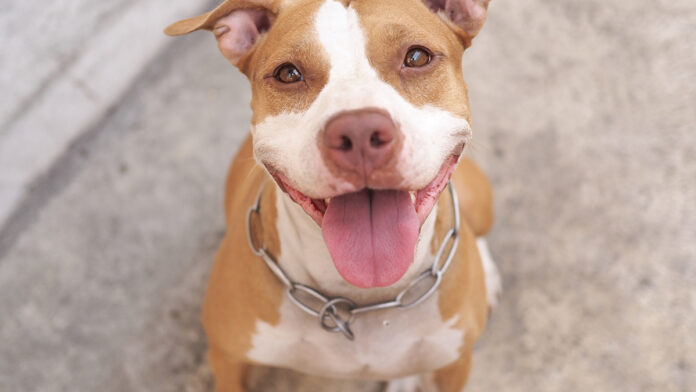 Things To Do in Santa Cruz: March 11-17