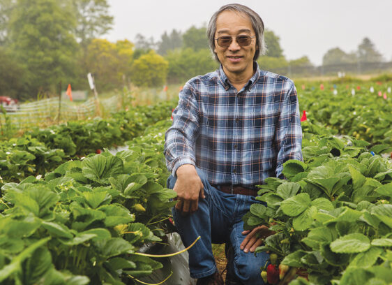 Strawberry Growers Face a Complicated Future