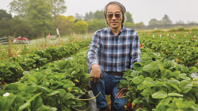 Strawberry Growers Face a Complicated Future