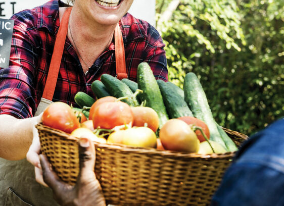 Best of Santa Cruz County 2020: Community Life