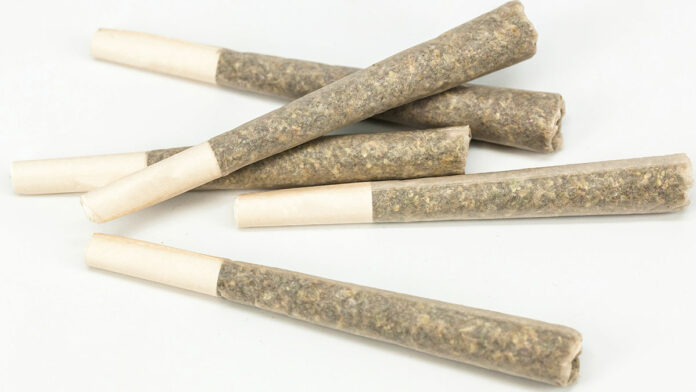 Business Dries Up After Initial Rush of Cannabis Panic Buying