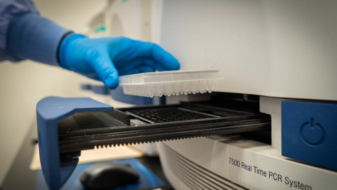 Updated: Memorial Day Weekend Presents Covid Test Case for Santa Cruz