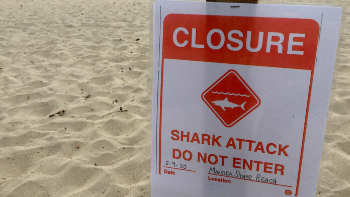 Man Dies from Shark Attack at Santa Cruz County Beach