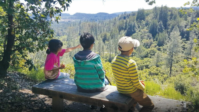 Major Changes Coming for Local Summer Programs