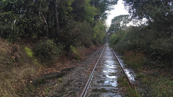 RTC Says ‘Yes’ to Train and Buses, ‘No’ to Trail and Pod Cars