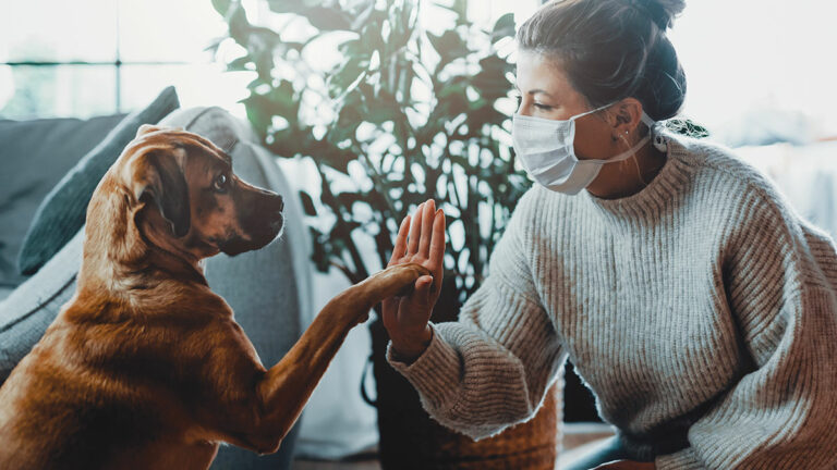 Easing Pet Anxiety During the Coronavirus Pandemic