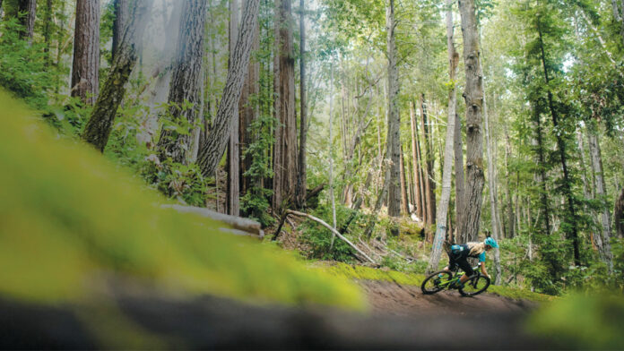 Santa Cruz County Summer Preview: Outdoor Recreation