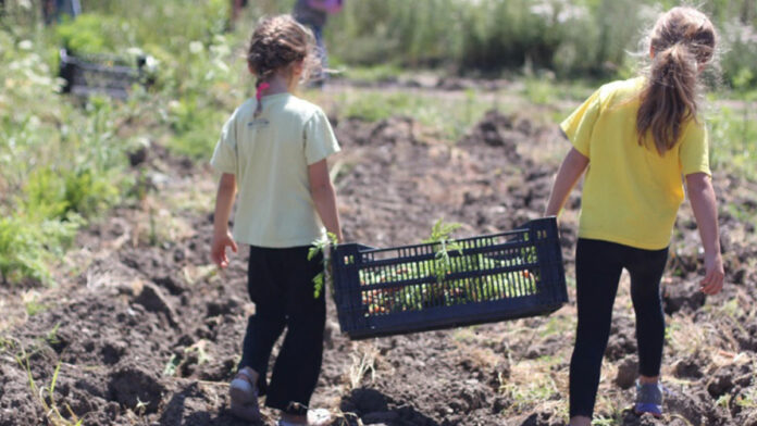 Farm Discovery at Live Earth Sets Up Produce Distribution