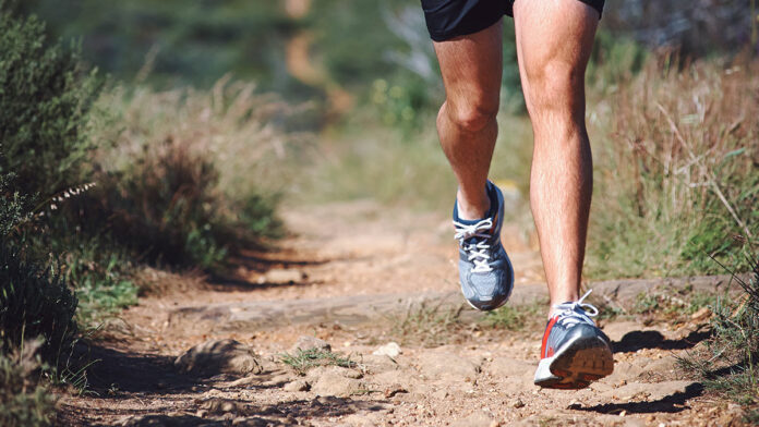 Assessing the Risks of Covid-19 as Santa Cruz County Reopens