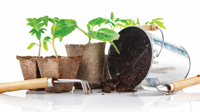 Home and Garden Resource Guide