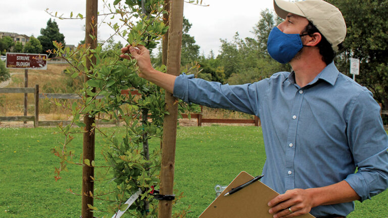 Providing Youth Access to Environmental Education, Work Experience