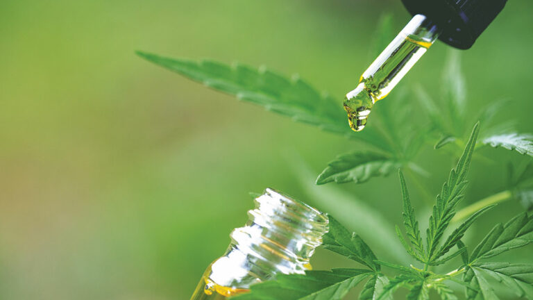 Meet the Cannabinoids Science Is Still Trying to Unlock