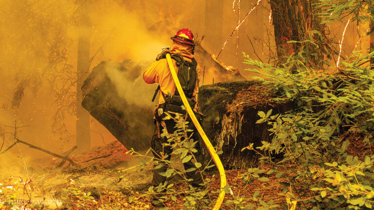 Debate Brews Over Residents Who Won’t Evacuate During Fire