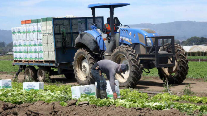 Local Farmers Share Thoughts on Climate Change, Sustainability