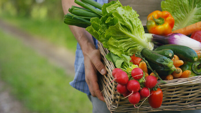 Food Justice Nonprofit Raises $80,000 for Young People and Families