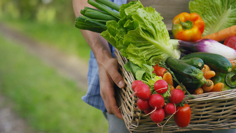 UCSC Climate Conference Will Address Food Security