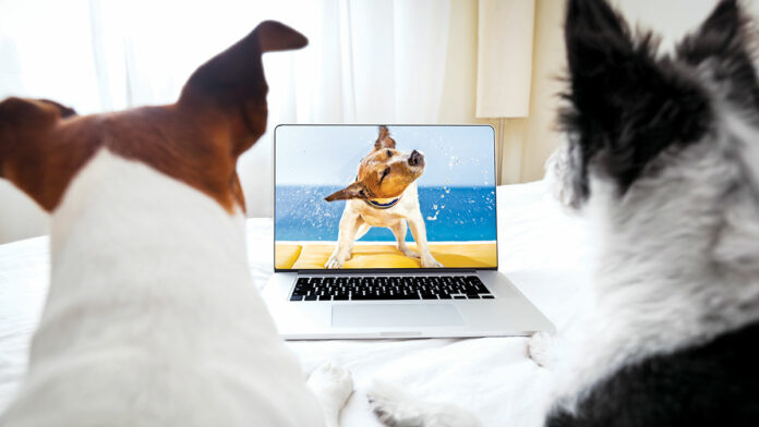 Things To Do in Santa Cruz: Sept. 2-8