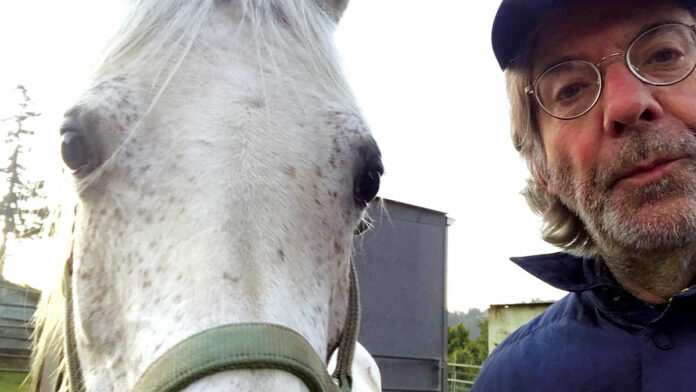 50 Up: A Boomer in Lockdown