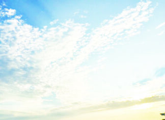 Richard Thornton, Former Olympian, Dies At The Hook