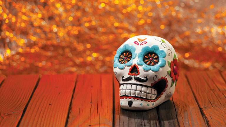 Things To Do in Santa Cruz: Oct. 28 – Nov. 3