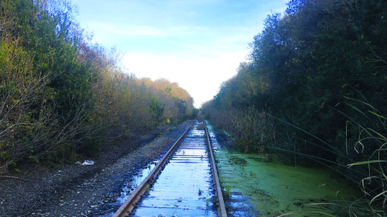 RTC Hits ‘Timeout’ on Rail Plan in Attempt to Ease Tensions