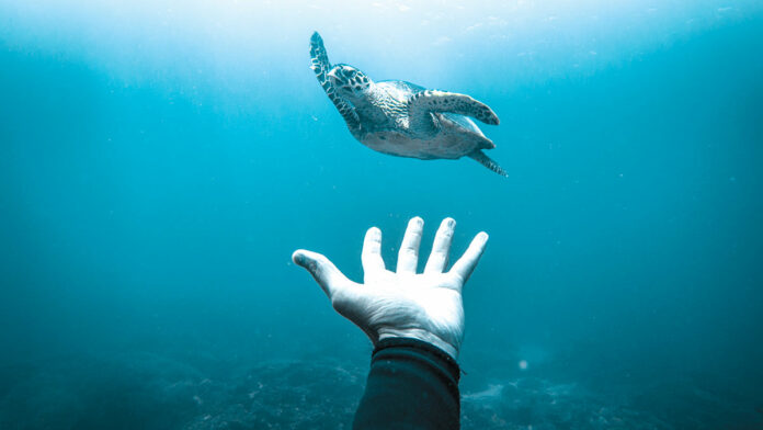 Things To Do in Santa Cruz: Oct. 14-20