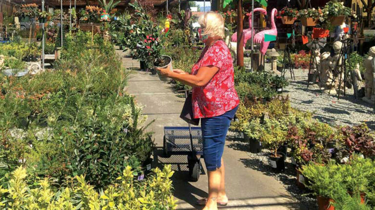 Local Nursery Sees Uptick in Business During Pandemic