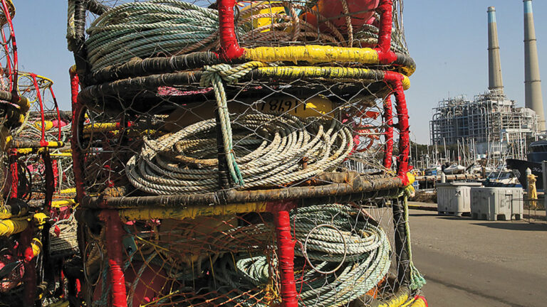 New Regulations Could Pinch Commercial Crab Fishermen