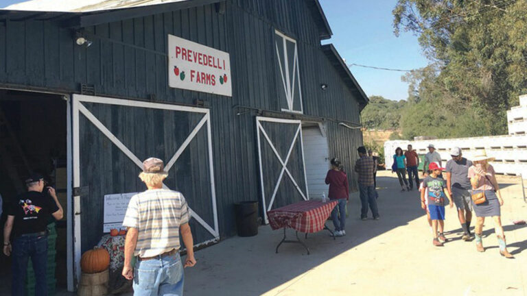Open Farm Tours Return with Focus on Transforming Food Systems