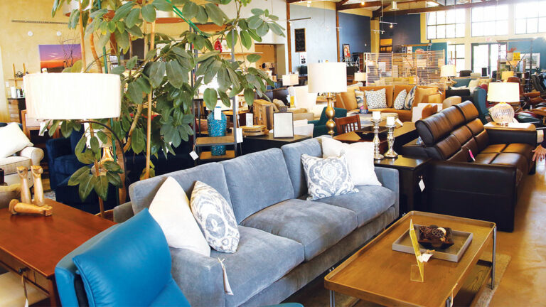 Explore Santa Cruz 2020: A Guide to Santa Cruz Shops