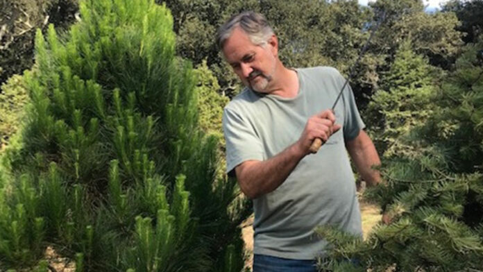 Church Christmas Tree Farms Looks Ahead to Busy Season