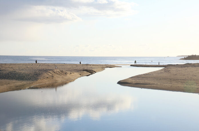 Letter to the Editor: We Can Do Better