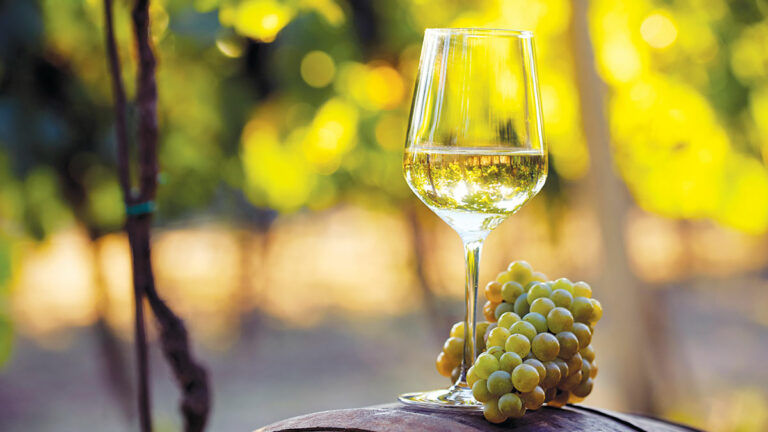 Clos LaChance Winery’s Excellent Chardonnay 2018