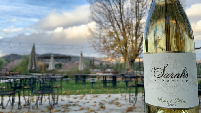 The Refreshing Picpoul Blanc 2018 from Sarahโs Vineyard