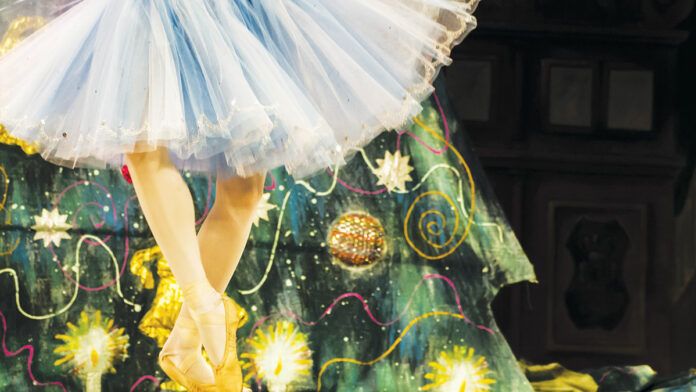 Things To Do in Santa Cruz: Dec. 16-22