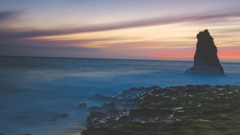 New Book of Poetry and Nature Photos Reflects on Healing