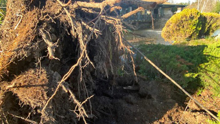 Less Than Half of Residents Evacuated During Debris Flow Response