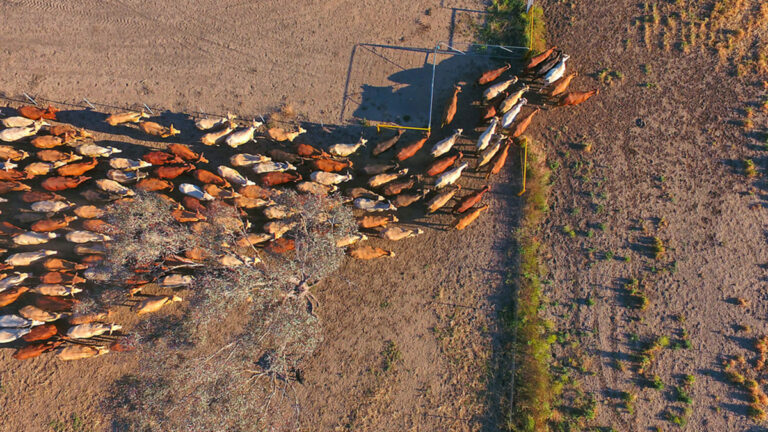 New Exhibit Shows How to Fight Climate Change with Your Fork