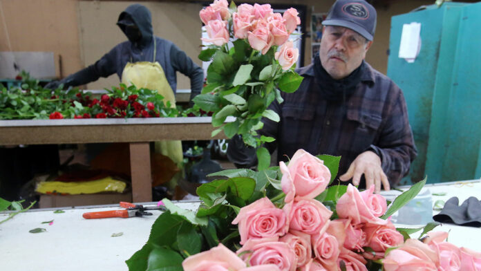 California Pajarosa Floral Navigates a Changing Industry
