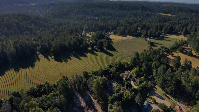 Beauregard Vineyards’ Chardonnay 2018 Worthy of a Special Occasion